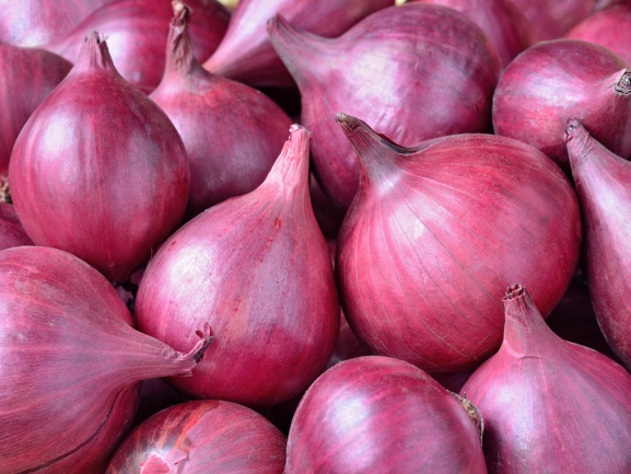 Fresh Red Onions