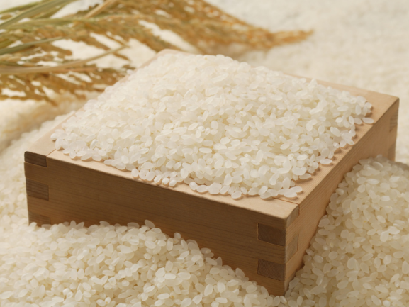 Premium Specialty Rice Export