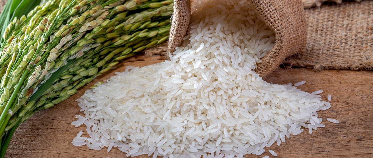 Specialty Rice Exporters India
