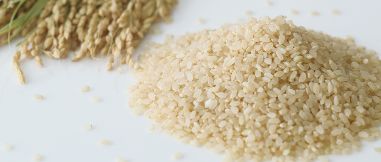 Organic Rice Exporters India