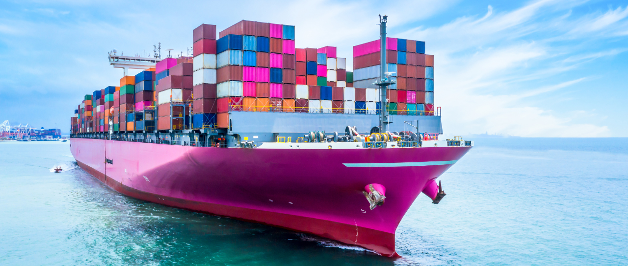 Vision Infinity Trade - Rice Export Company